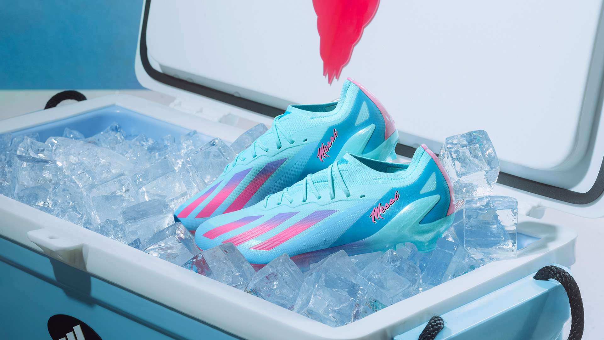 小瓦和班凱 小瓦和班凱